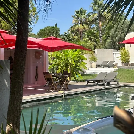 Le Sud Bed & Breakfast Cassis